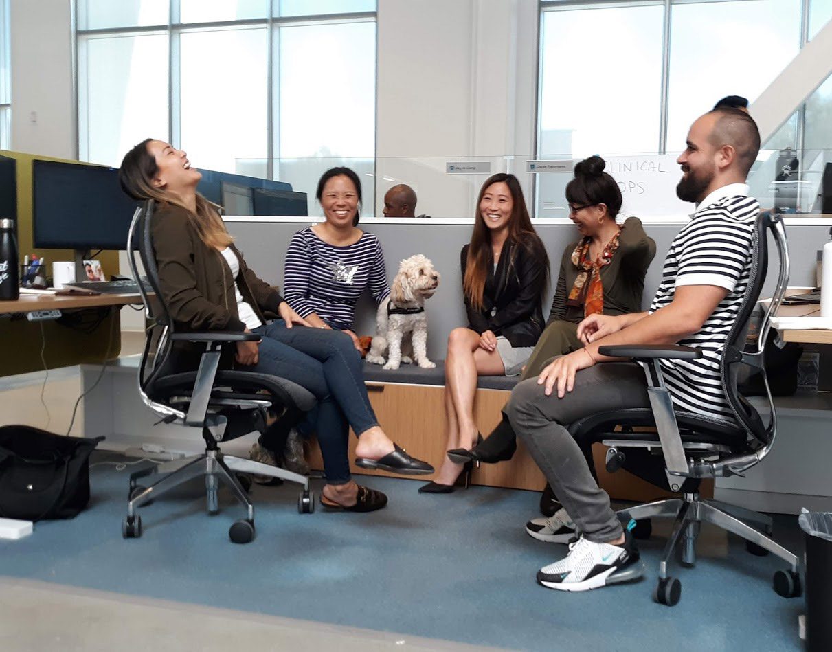 corporate team laughing with each other