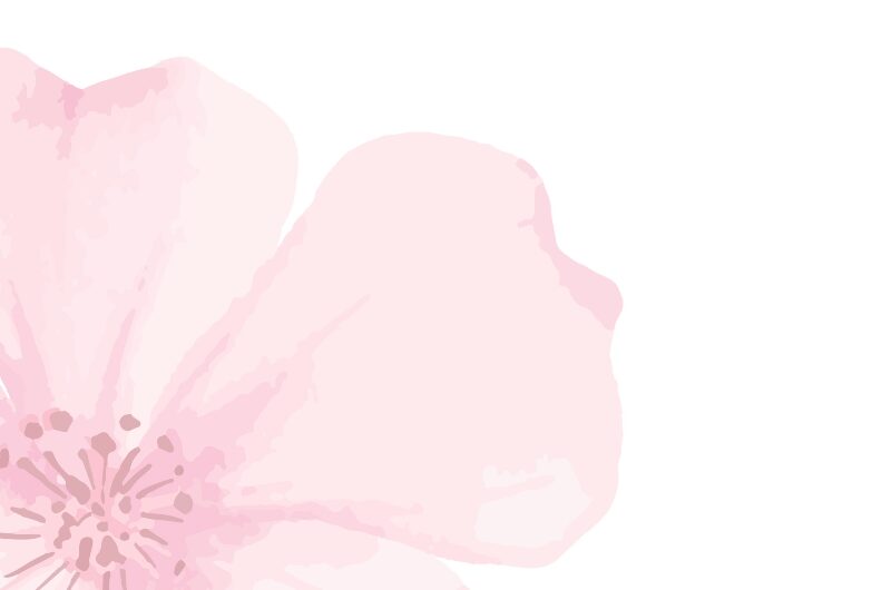 Watercolor-style illustration of a large, soft pink flower with delicate petals, placed on the left side of a white background—an elegant homage to breast imaging and women's health.