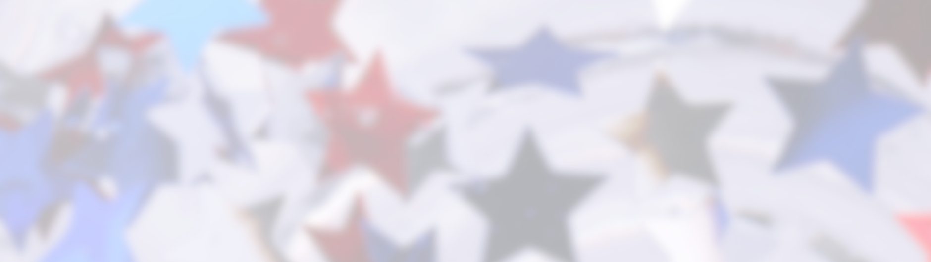 Veterans Day Star Graphic