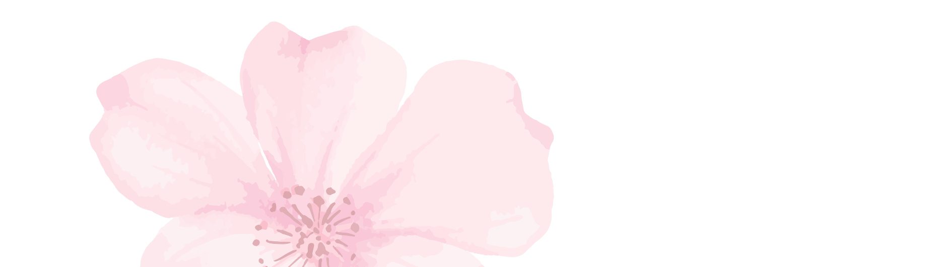 Watercolor-style illustration of a large, soft pink flower with delicate petals, placed on the left side of a white background—an elegant homage to breast imaging and women's health.